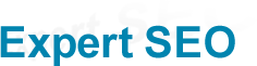 local seo